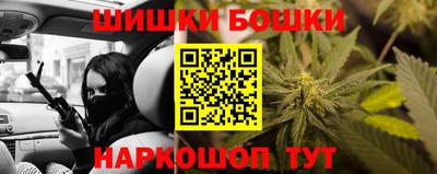 крисы Обь