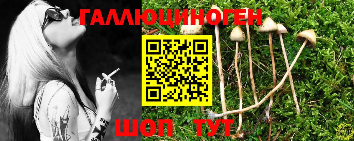 Псилоцибиновые грибы Psilocybe  Псилоцибиновые грибы мицелий  Вход с VPN  Саратов 